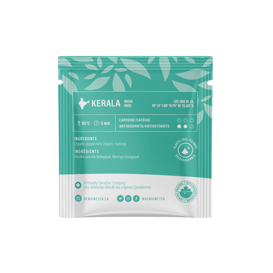 Individually Wrapped - Organic Moringa Mint - 100 Teabags - Genuine Tea