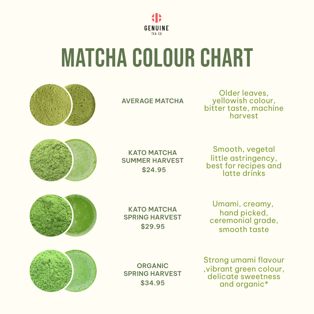 Kato Matcha Organic Spring Harvest - Genuine Tea