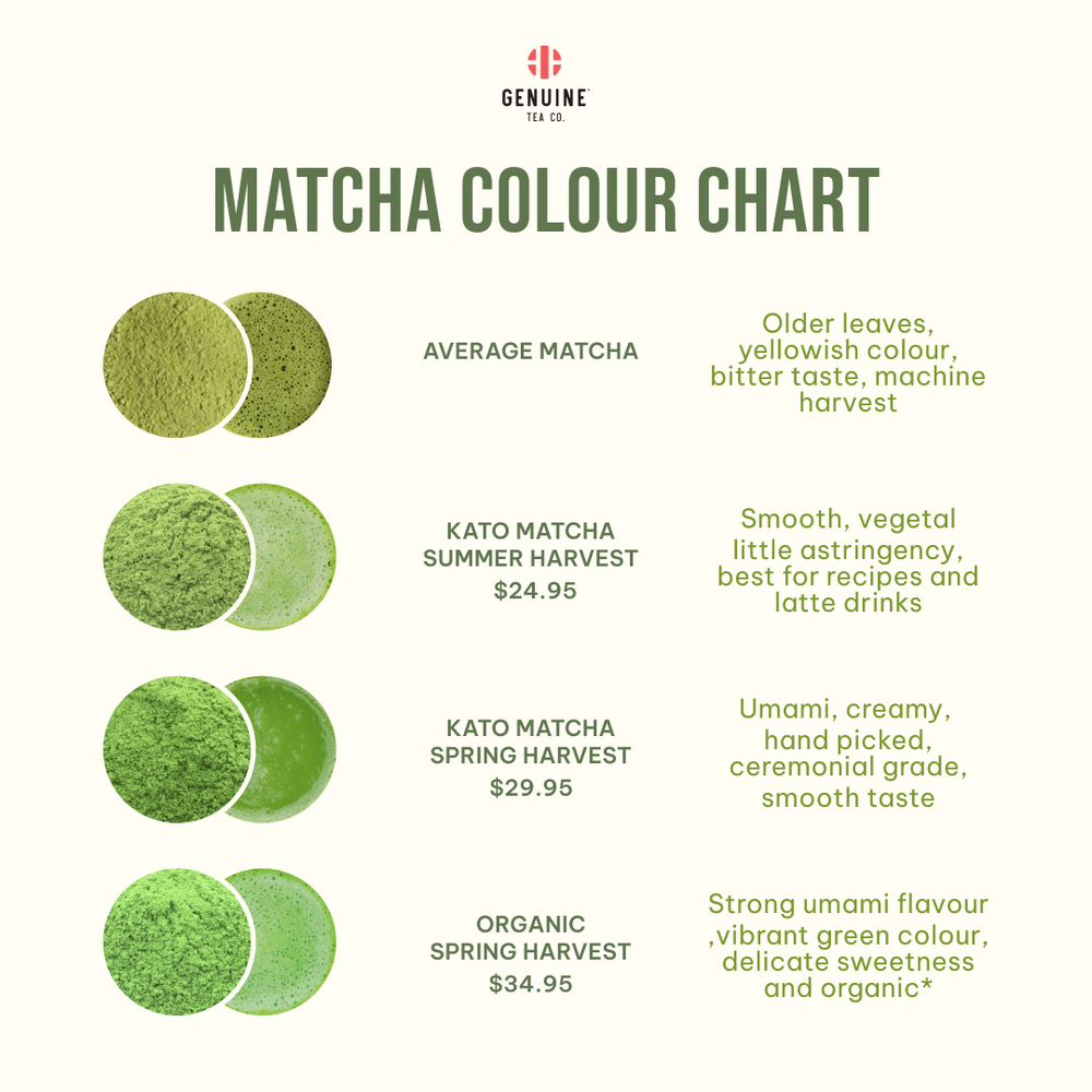 Kato Matcha Organic Spring Harvest – Genuine Tea