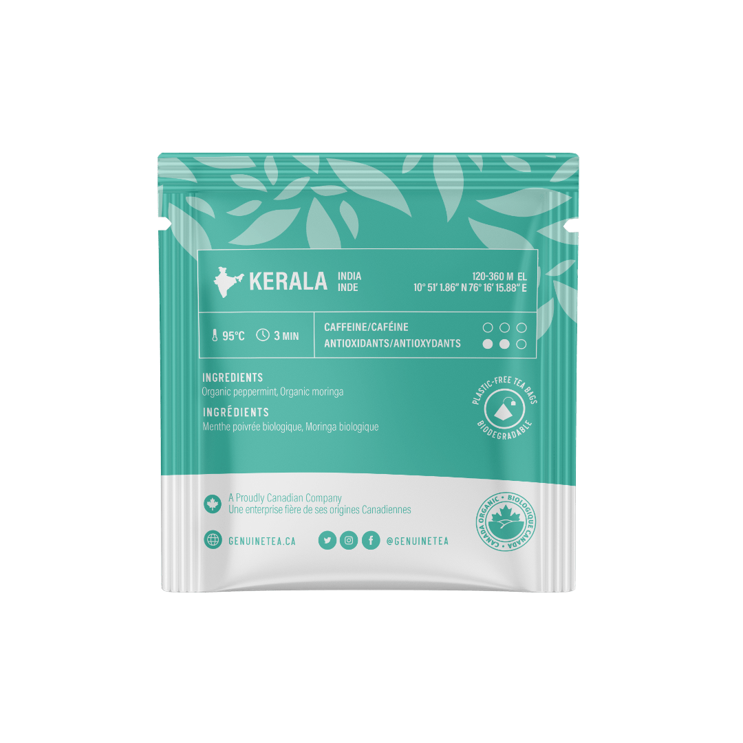 Individually Wrapped - Organic Moringa Mint - 100 Teabags - Genuine Tea