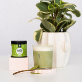 Case of 6 - Kato Matcha Summer Harvest