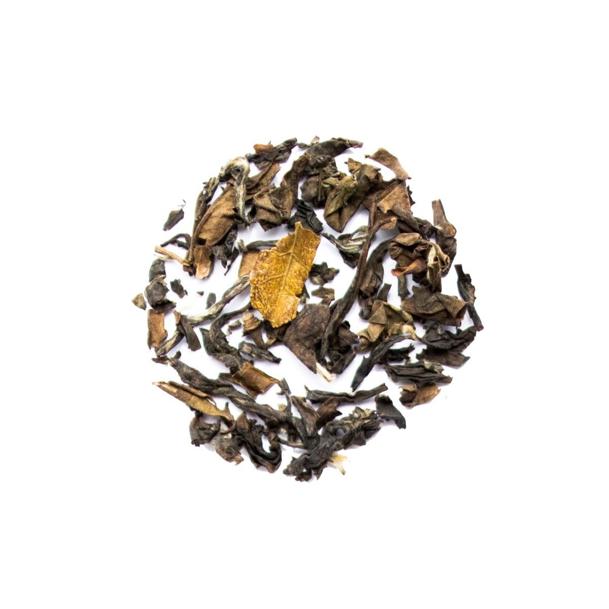 White Fairy - White Tea - Genuine Tea