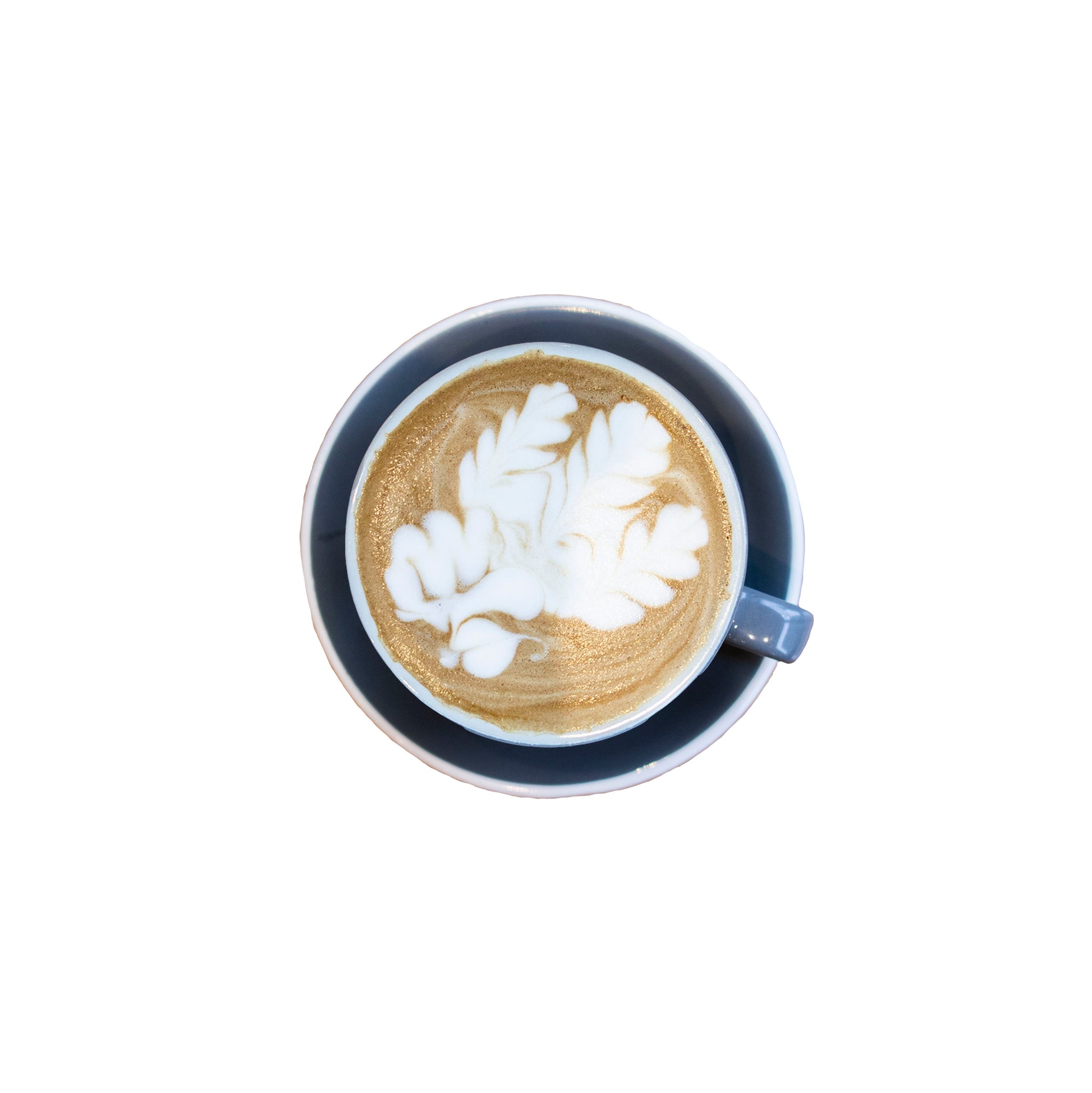 Earl Grey Microground Latte Blend Tea Powder Toronto Canada